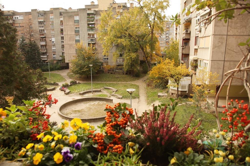 Apartment Spacious Liman Novi Sad Eksteriør billede