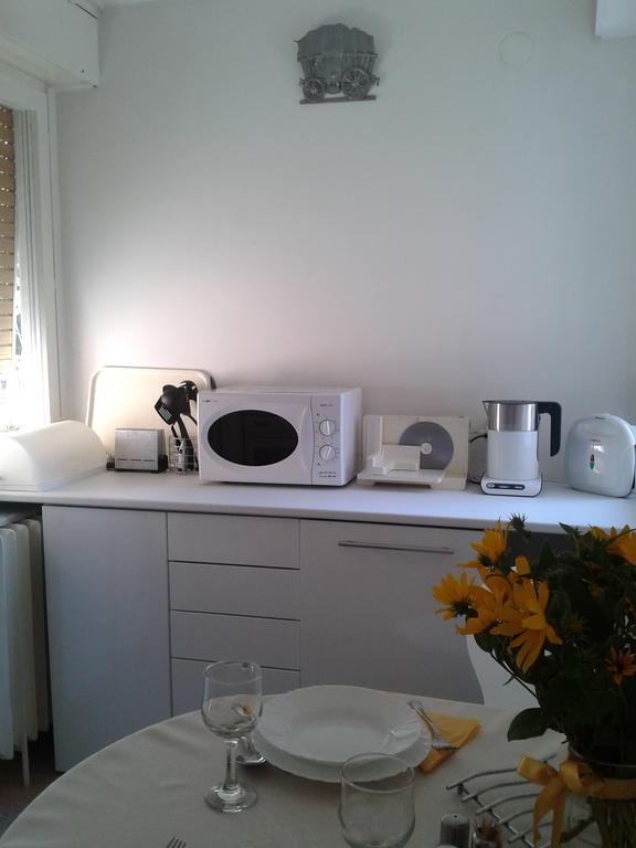 Apartment Spacious Liman Novi Sad Eksteriør billede