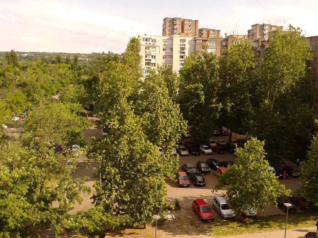 Apartment Spacious Liman Novi Sad Eksteriør billede